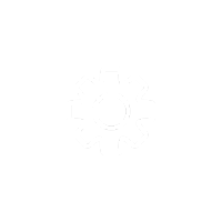 Gear Icon